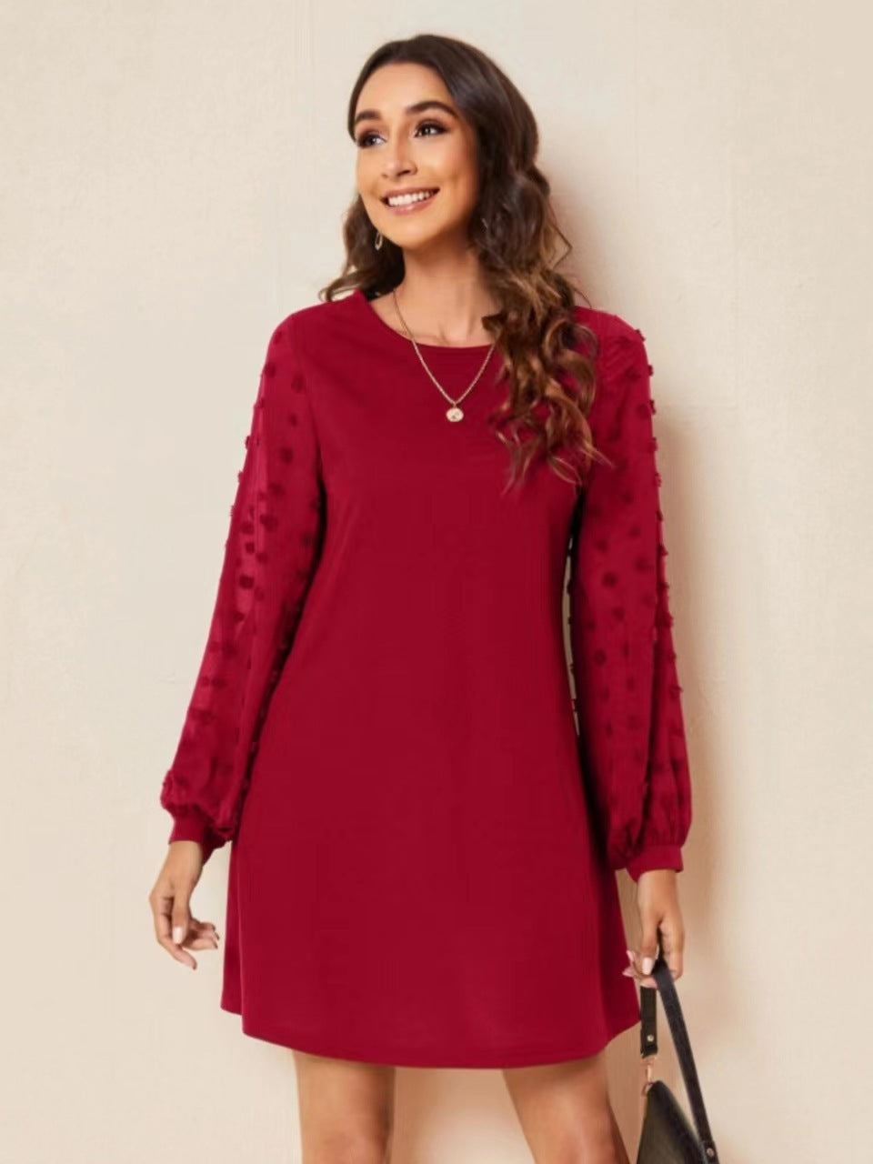 Women's Round Neck Long Sleeve Pure Color Mesh Dresses